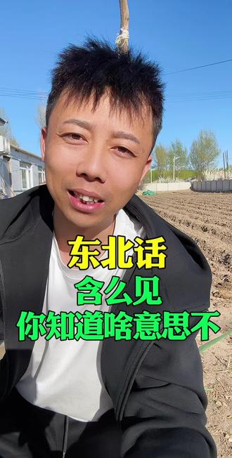 东北话含么见你知道啥意思不#东北人#东北话#东北方言教学 #同城#吉林双辽市
