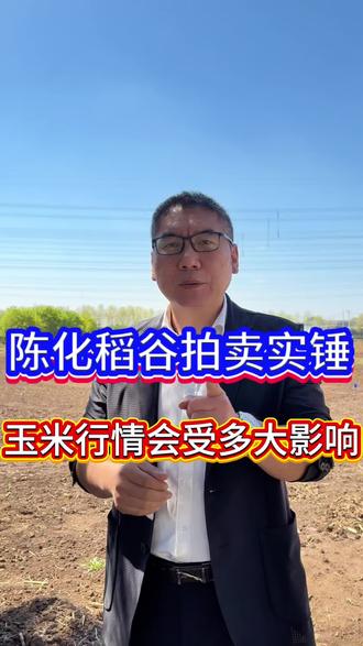 陈化稻谷拍卖即将实锤,玉米行情会受多大影响!
#玉米 #玉米行情 #地娃5588 #地娃3796