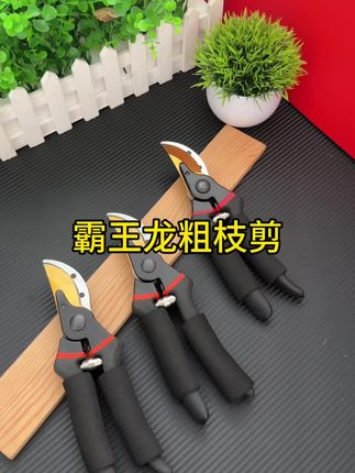 正品加粗加厚霸王龙修枝剪#修枝剪 #树枝剪 #园艺剪刀