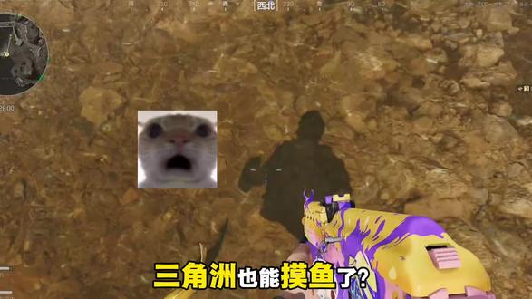 三角洲也能摸鱼了?#三角洲行动