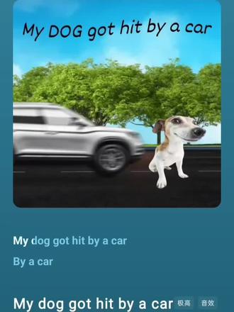 我的狗被车撞了😱被车撞了😱被车撞了😱