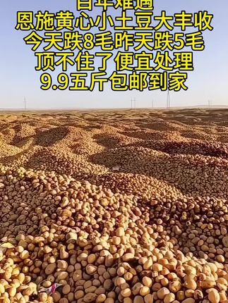 #优质农产品 #dou十上热门🔥 #强烈推荐 #恩施黄心小土豆 恩施黄心小土豆,到手五斤9.9,喜欢吃的赶紧购买,真的超便宜超划算
