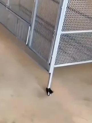 鸡笼子家用鸭鹅兔养殖, 加厚加密防鼠笼, 网片鸡笼兔子笼鸽笼,户外大号#养殖笼#生活好帮手 #结实耐用