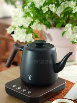 这台智能茶具真的那么好?化繁就简,全自动上水控温,关键颜值真高#上水壶