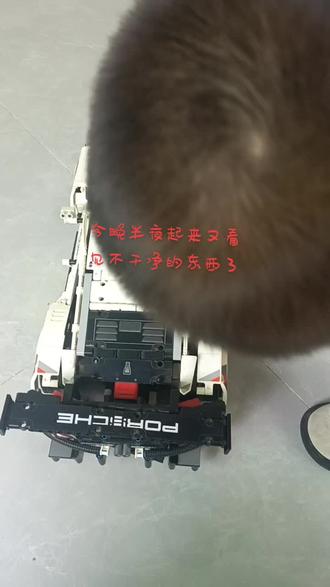 娃发烧,我半夜突然醒,一睁眼就看到一双脚躺在我娃娃睡的位置那里,然后我去拿香茅抽看到脚那里,抽完了拿体温计,把体温计震了一下,没有摔,体温计坏了。这是我好几个月之后又看见不干净的东西了!以前都是几年才看到一次,今年看到挺频繁的!#玄学 #玄学文化 #半夜