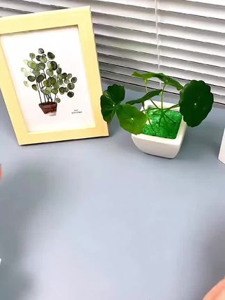 #每日分享 #带盖玻璃密封罐 #小号玻璃密封罐 #密封罐 #超实用