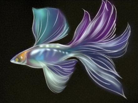 #画世界Pro#孔雀鱼#上色