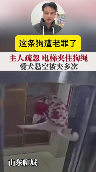 主人疏忽电梯夹住狗绳爱狗被电梯夹多次#安全教育 #社会百态 #防范意识 #讨论 #热门小助手