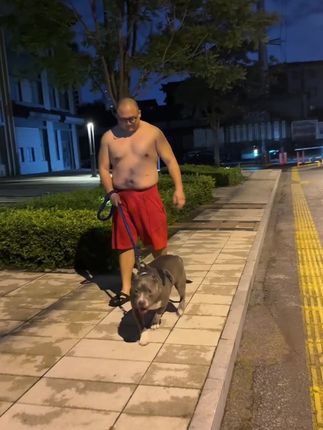 不但洞大凉快还狠Q弹,这鞋你就跟着彪哥穿吧🦥,#东中街德彪 #一天就是吃吃喝喝 #夏季洞洞鞋