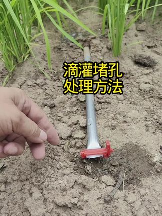 滴灌堵孔,处理方法#抖音助农扶农