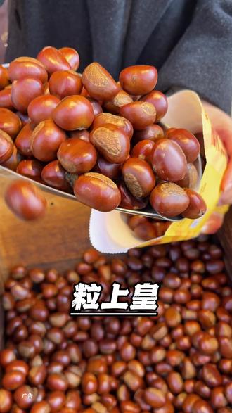#粒上皇 竟然出了个75.9代100代金券!年货囤货赶紧囤#粒上皇板栗#粒上皇年货节#粒上皇现炒板栗#遛娃好去处