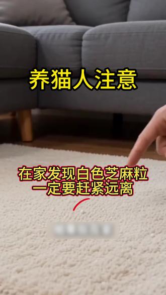 在家发现这种白色芝麻粒,一定要赶紧远离 #猫咪 #新手养猫 #科学养宠 #猫咪经验分享