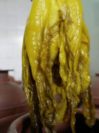 美味的酸菜 这正宗四川老坛酸菜可以安排!精选当地新鲜芥菜,遵循传统老坛工艺,历经数十天自然发酵。一打开,酸香瞬间弥漫整个厨房,直钻鼻腔,勾得人馋虫四起。拿来做酸菜鱼,鱼肉吸饱酸菜的浓郁汤汁,嫩滑又入味,酸得恰到好处,辣得酣畅淋漓。一家人围坐,就着这热乎劲儿,一口鱼肉一口汤,满是烟火气,给餐桌添上地道川味,让团聚时刻更有滋味!#开胃菜 #老坛酸菜 #泡菜 #鱼酸菜 #四川老坛泡菜