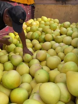 一口爆汁的红心蜜柚 终于上市了!孕期真的太爱这一口了!#红心蜜柚 #优质水果 #新鲜采摘 #柚子