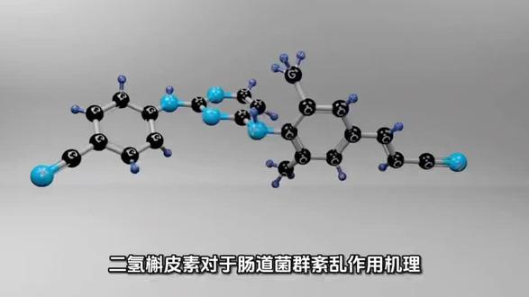 二氢槲皮素对于肠道菌群紊乱的作用