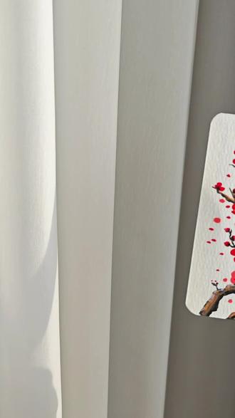 简单色彩搭配,让梅花的美,更加浓烈。国人爱梅,爱它一身傲骨,清冷又热烈,是刻在骨子里的温柔与倔强 #绘画教程 #绘画日常 #梅花教程 #跟着抖音学画画 #一起学画画吧