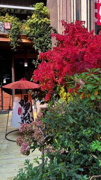 茶咖馆日常,成都人民的阳光日常#茶咖