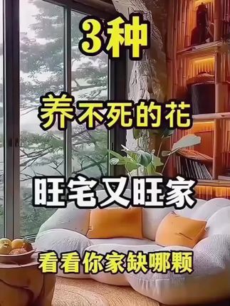 3种养不死的花,旺宅又旺家,看你家缺哪一棵? #金钻绿公主#绿植