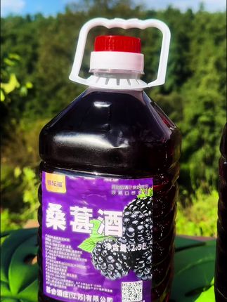 #桑葚酒