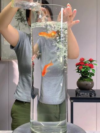 家里什么都不养,也要养一盆竹子。#水草造景 #鱼缸里的大自然 #观音竹 #水培植物 #茶室绿植