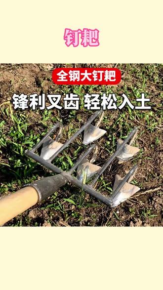 钉耙 翻地松土沟锄全钢三齿四五齿耙子多功能农用工具开荒除草翻土种菜#钉耙 #松土器 #五齿耙子 #农用工具 #耙子