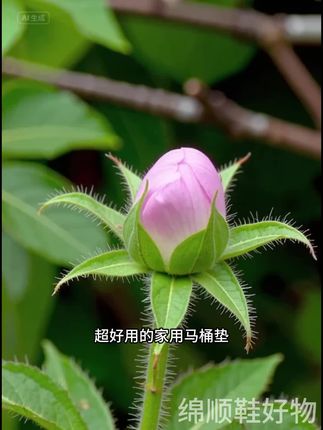 【2025可爱】马桶垫粘贴式家用卫生间四季通用卡通加厚可水洗马桶#好物#好物推荐#好物分享