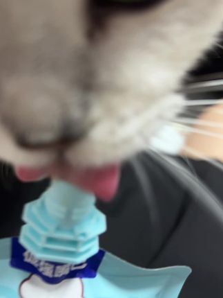 #吃货猫 化毛生鲜膏