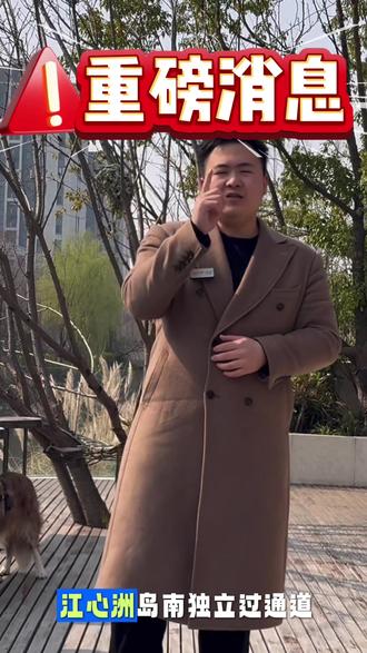 江心洲独立过江通道最新进展