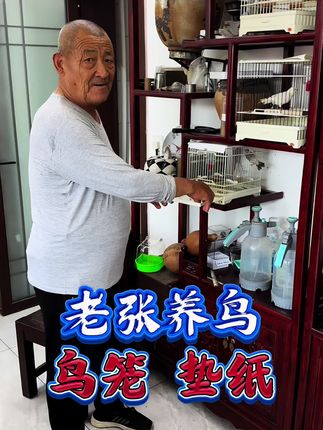 一次性鸟笼垫纸支持定做