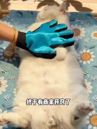 #dou上热门 ??????这么厉害#萌宠动物 #狗狗的心思都写在脸上了 #可爱萌宠 #宠物猫