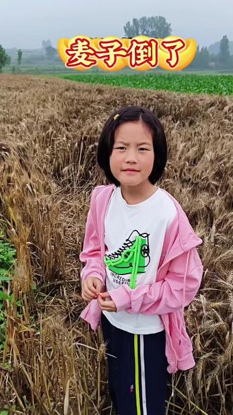 “谁知盘中餐,粒粒皆辛苦”此刻在河南的麦田里具象化了!
每一碗饭、每一粒米,都来之不易,吃饱的时候不要忘了地里弯着腰的人
#麦子熟了 #麦子倒伏 #农民不易 #亲子互动