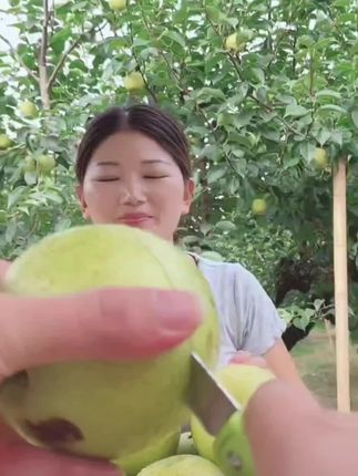 《顺丰包邮》正宗去皮砀山翠冠梨皇冠梨纯甜新鲜水果梨子砀山梨#砀山青梨#汁水饱满#现摘现发