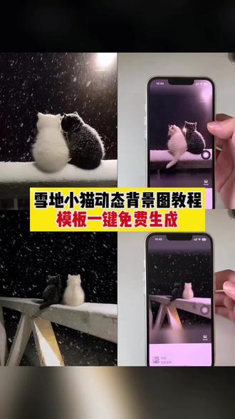 还没有猫咪下雪背景动图的我来教会你,小猫雪天背景图 小猫下雪动态背景图模板 小猫下雪背景图教程 猫咪下雪朋友圈背景图 猫咪下雪背影 猫咪下雪动图视频#猫咪下雪动态背景图 #朋友圈动态背景图 #背景图 #动态背景图 #剪映 猫咪下雪动态背景图 小猫下雪动态背景图 小猫雪地背景底图 小猫下雪背景图怎么做