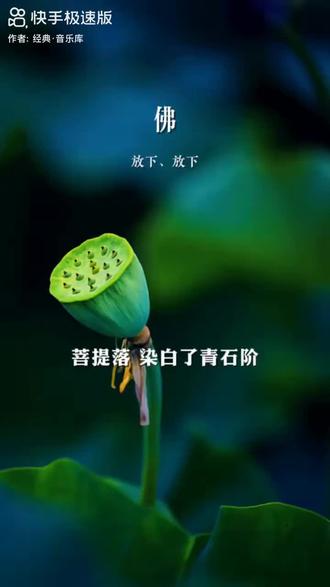 佛在心头坐,无纷扰;一呼一吸,皆是道。放过自己,不是认输,是与生活和解,与过往释怀#佛#禅意人生