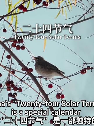 用英语介绍二十四节气,发现24节气之美 #英语学习 #英语口语 #节气里的中国 #用英语介绍中国 #二十四节气