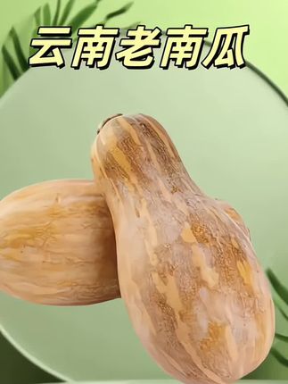 云南正宗老南瓜新鲜农家自种宝宝辅食甜南瓜板栗味包邮蔬菜批发#农产品 #软糯香甜 #家乡好货 #原产地