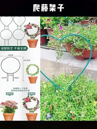 心形圆形花架室内山乌龟绿萝爬藤架子攀爬支架造型金属支撑架子#爬藤架 #爬藤架子 #圆形花架 #心形花架 #山乌龟爬藤架子