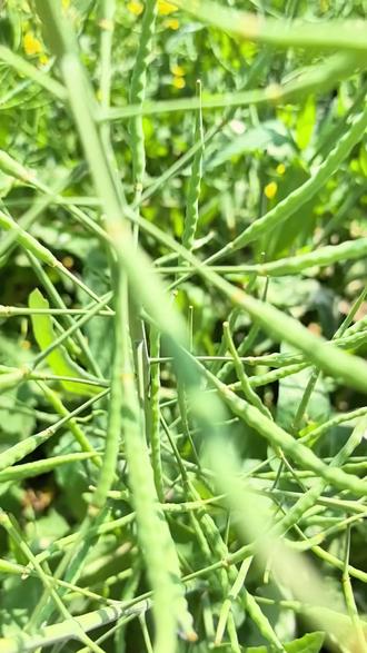 藏在温州的宝藏公园 看完视频你也可以说“简单的来过了”#溜娃好去处 #温州 #园博园 #露营