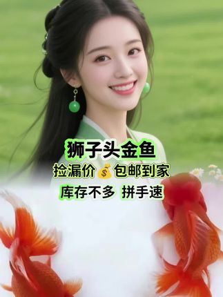 狮子头金鱼#狮子头金鱼#招财鱼#养鱼日记#养鱼人#观赏鱼@抖音创作小助手