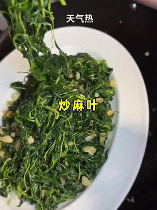 吃麻叶吗#炒麻叶 #麻叶 #潮汕菜