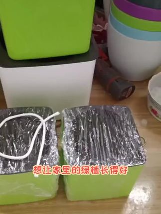 新款懒人自动吸水花盆#好物推荐🔥 #强烈推荐 #实用好物 #必备好物