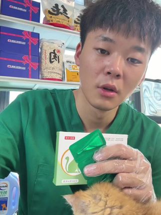 猫狗内外驱虫,性价比高。猫咪狗狗身上有了虫怎么办,多久驱一次虫,#猫咪驱虫 #驱虫#蜱虫 #驱虫的妙招 #小狗驱虫药