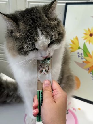 #新手养猫 #养猫经验分享 #萌宠好物 #猫咪零食 #猫条