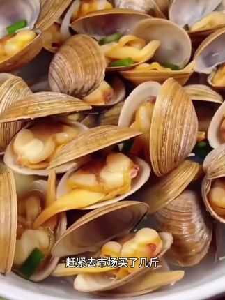 顺丰冷链 大文贝大蛤蜊黄蚬子鲜活发货深海捕捞肉质鲜嫩清蒸辣炒