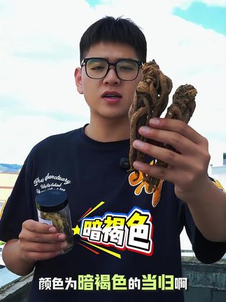 甘肃岷县被称为“千年当归之乡”,拥有独特的自然环境,为当归生长提供了良好条件。当归需在霜降后采挖,以积累更多营养物质。