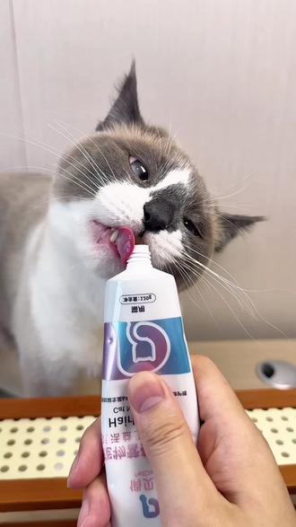 猫咪肚子里的猫毛,其实没办法自己排出去的#铲屎官必看 #猫咪种草好物 #俏贝丽化毛膏 #俏贝丽