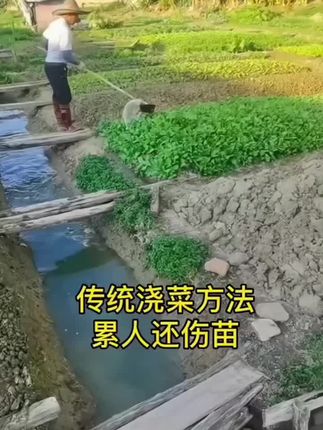 #农用喷头浇水浇花浇地器#园林园艺大棚灌溉水泵#洒水雾化喷水头#浇花 #园林工具
