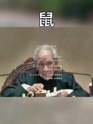 #72年的鼠 #84年的鼠 #96年的鼠 #生肖鼠 #属鼠