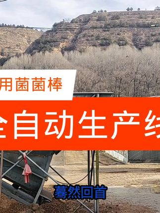 食用菌菌棒全自动生产线 #食用菌 #记录美丽的乡村风景 #记录美丽的乡村风景
