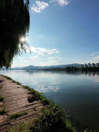 #治愈系风景